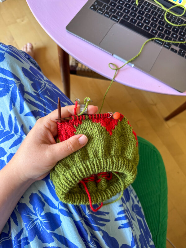 Fruit Sweater Junior - Image 7