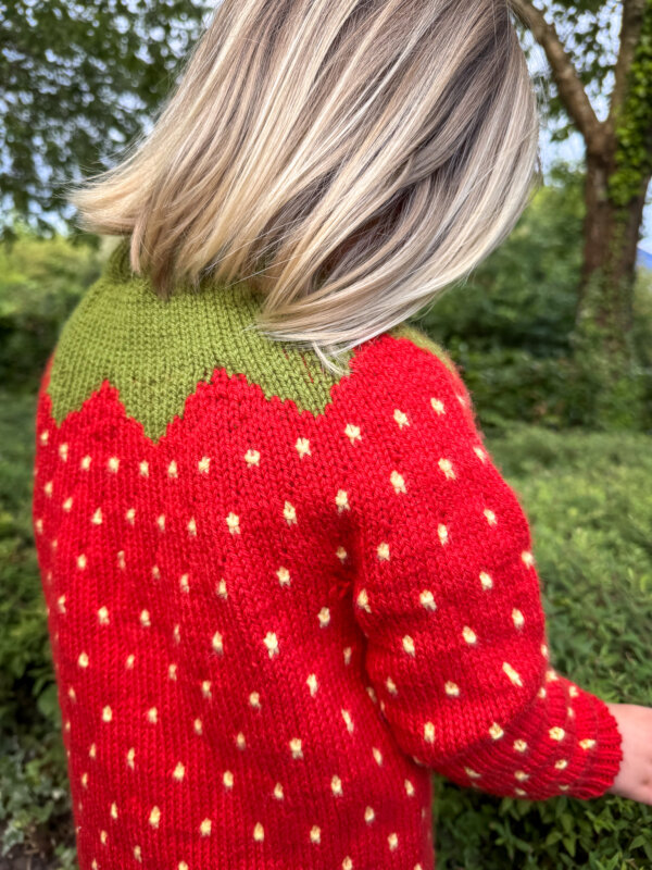 Fruit Sweater Junior - Image 3