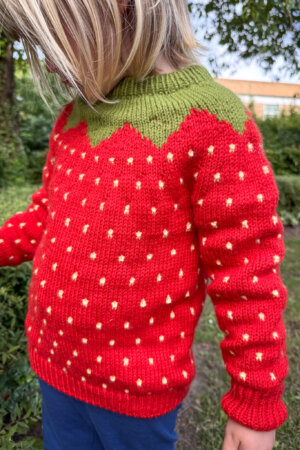 Fruit Sweater Junior