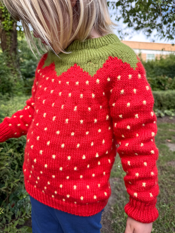 Fruit Sweater Junior