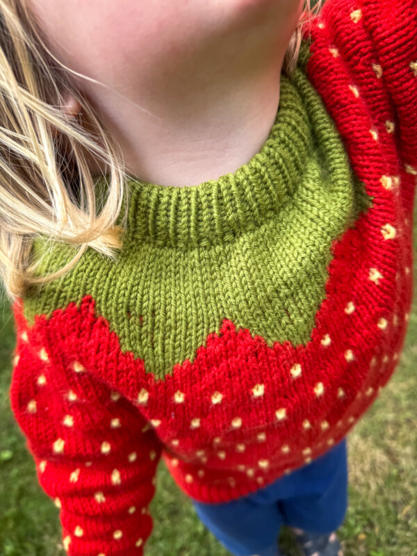 Fruit Sweater Junior - Image 5