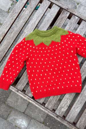 Fruit Sweater Junior ENGLISH