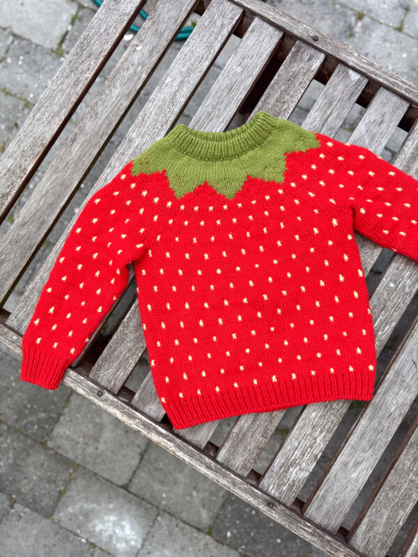 Fruit Sweater Junior - Image 2