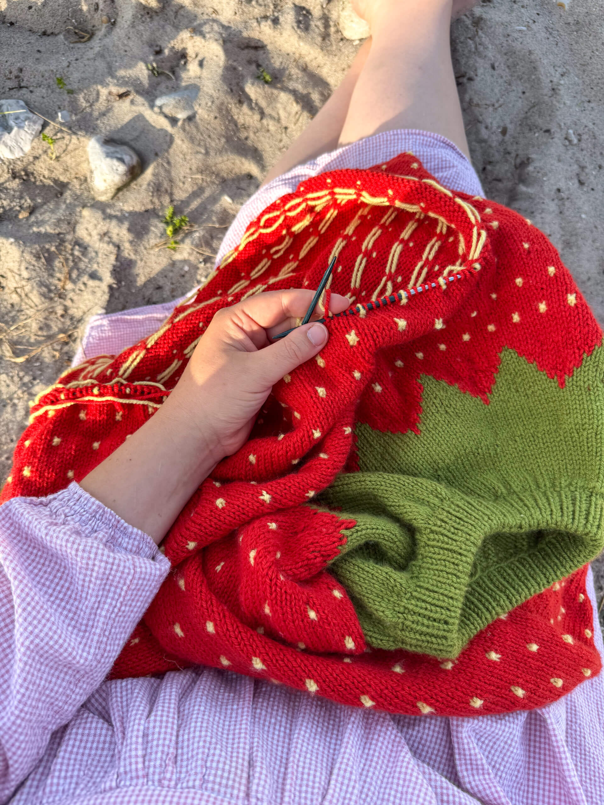 Fruit Sweater - Image 7