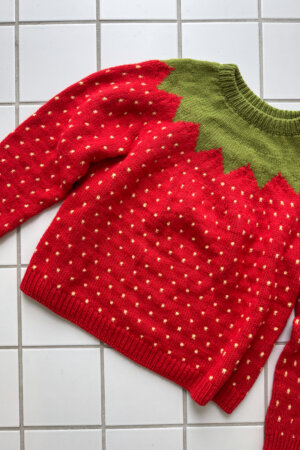 Fruit Sweater ENGLISH